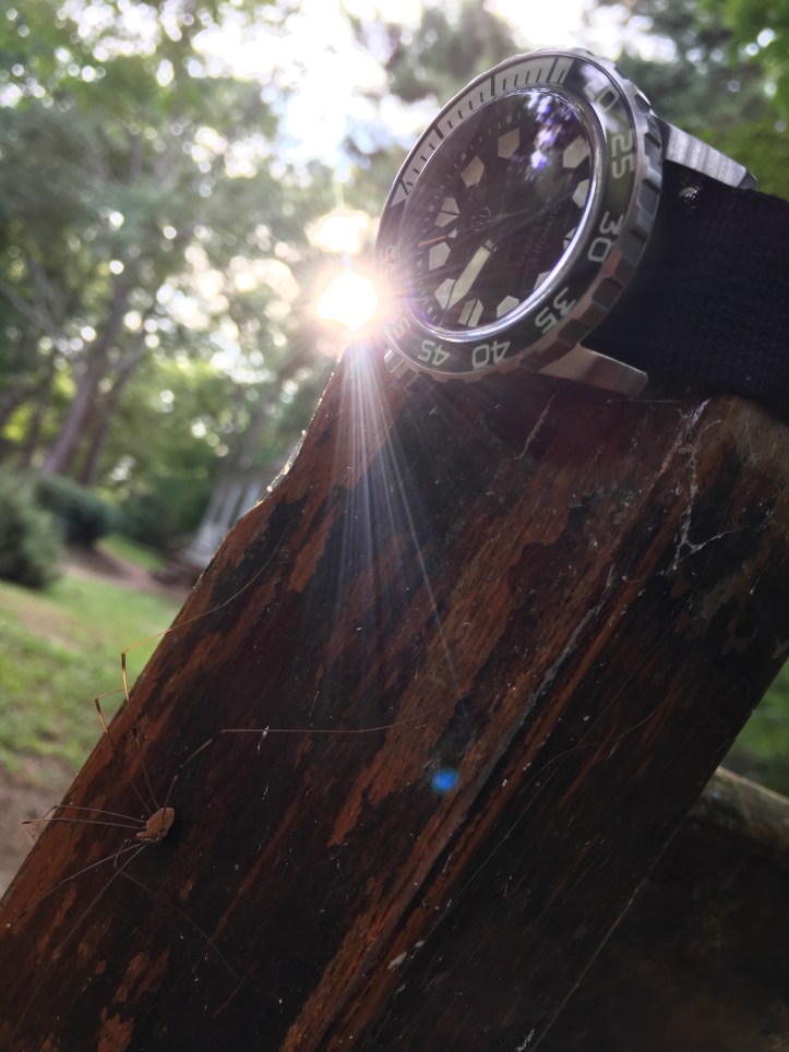 84AF15C2-C331-4BD3-BE95-F25FBC768C8C