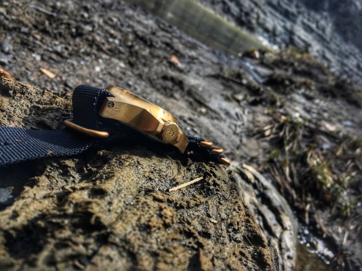 113B4BCB-5B7C-43C7-B9F7-844B9F5BB4EF