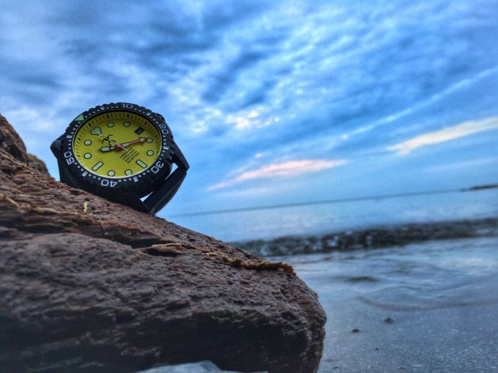 A0A8F6B6-EC23-434F-9E01-57A7E1E81E11