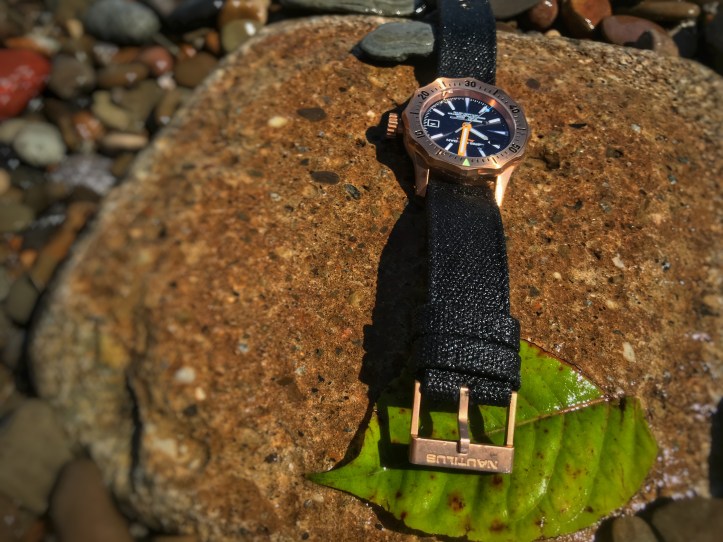 40F18D97-AC62-4696-AB42-8FB7A64E4ADF