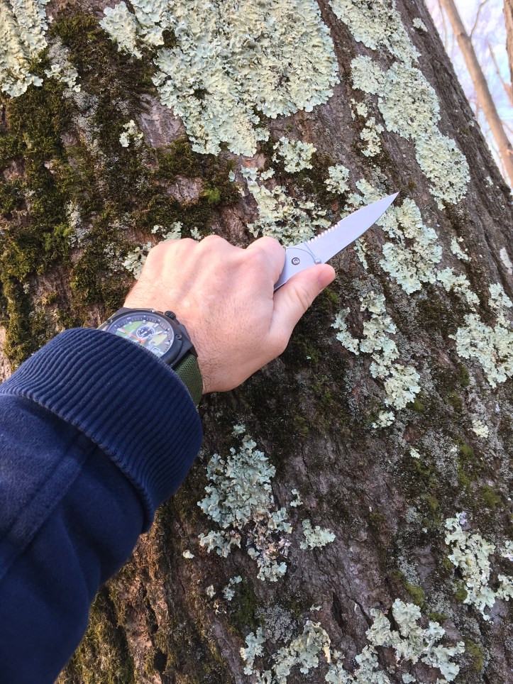 F8A18AD5-D3EF-4558-9793-874BD141CB77