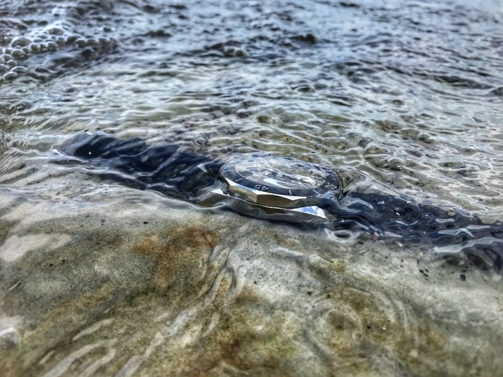 B6F80ED0-497B-4751-BCB1-016CF526F99C