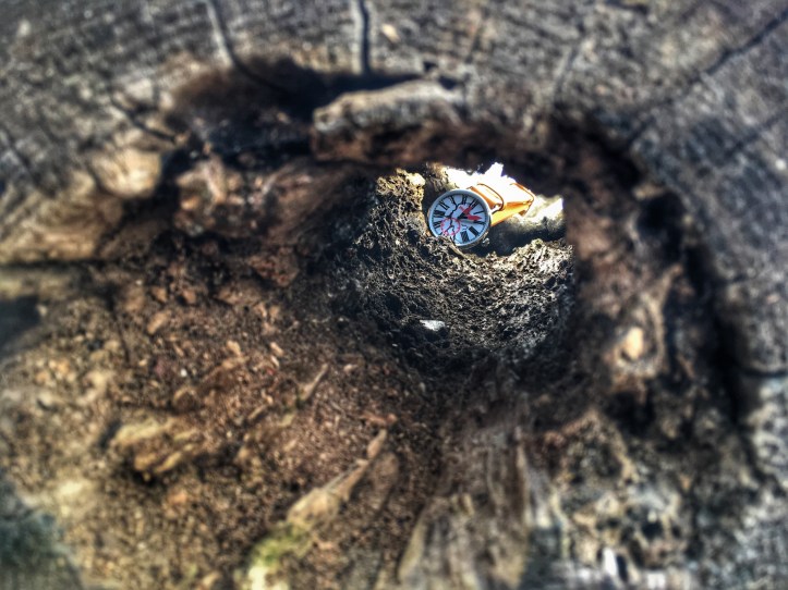 DAD92FD8-57B4-4B05-AE96-C4090A4E5A0A