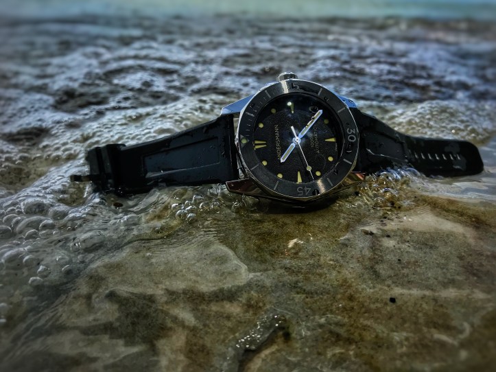 8199D36E-FCC2-446B-A076-8806B12C6BD6