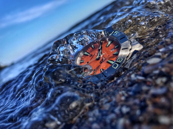 08FC2ED6-B200-4325-82E6-67E5DC6808AA