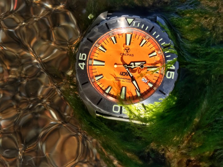 8A790CC6-DB2B-4B3E-AAEA-AD41EE1CA7A7