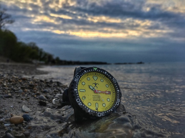 2514AAF8-39F4-4F23-B511-799D9BACA861