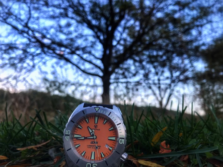 67CDC50A-1B80-47A4-8CFA-085EB2867154