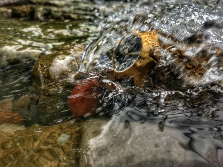 1C9DB172-671B-4B2B-BD77-E5D9B5D04283