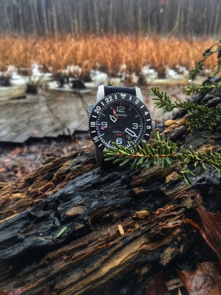 081EDF31-403F-46FF-812A-FE66D1EBF966