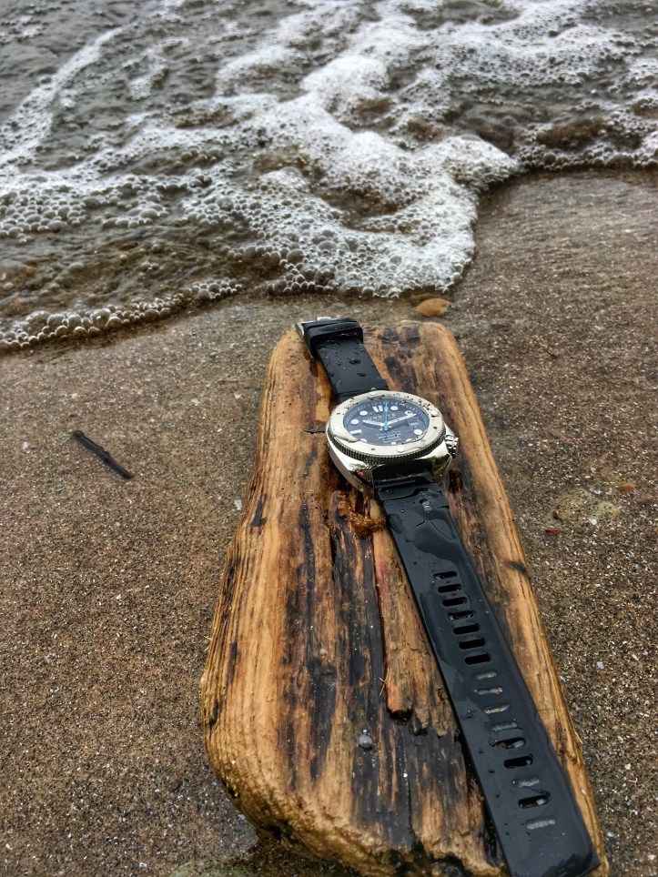 3646205F-3138-4659-A544-5A49FA5278FD