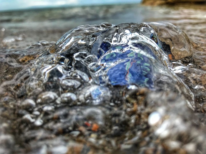 550D5927-62F5-49E4-BA43-EB34A27CEE20