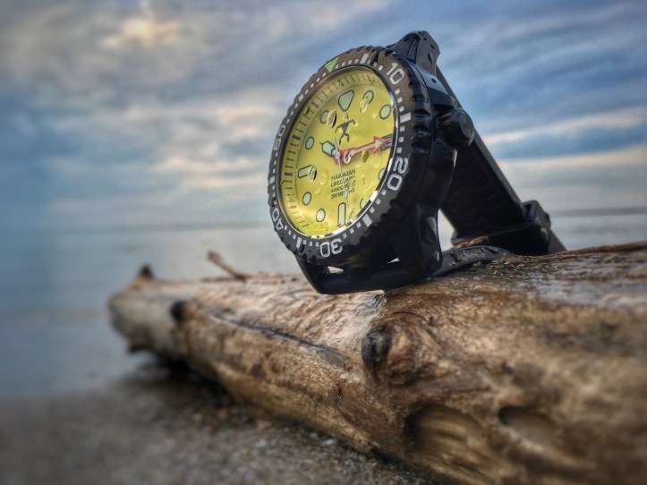 EE1EC4BC-413A-4809-8408-56337A5E9084