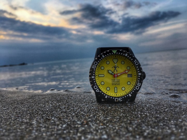 5561E203-7F62-427D-8769-AEE3509A2A7F