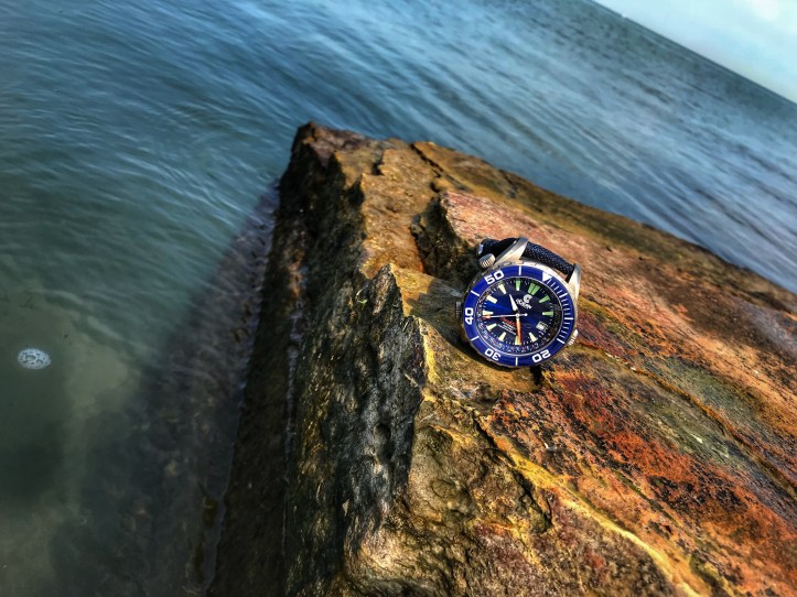 C2DF60A9-7418-4136-8EBE-A921E0A2A32E