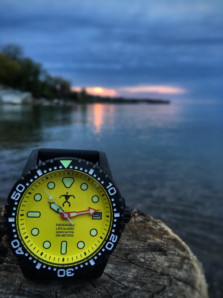 9EB31547-3245-4461-8778-CC3AAA8FEBC8