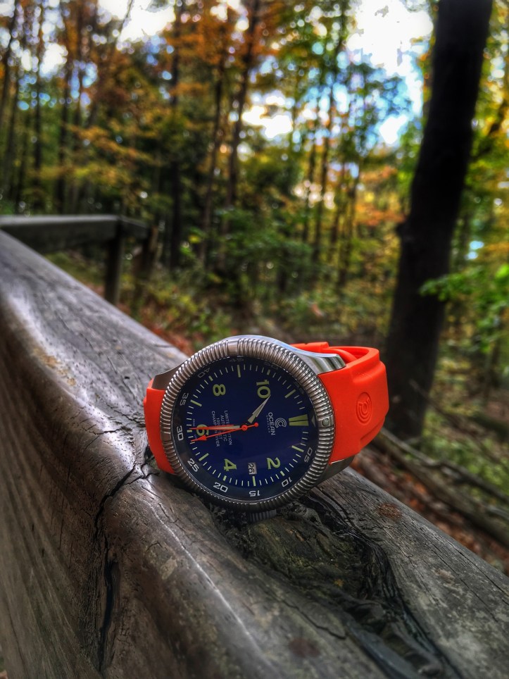 41D9B8F9-5943-433F-8904-E3B57D16B37C