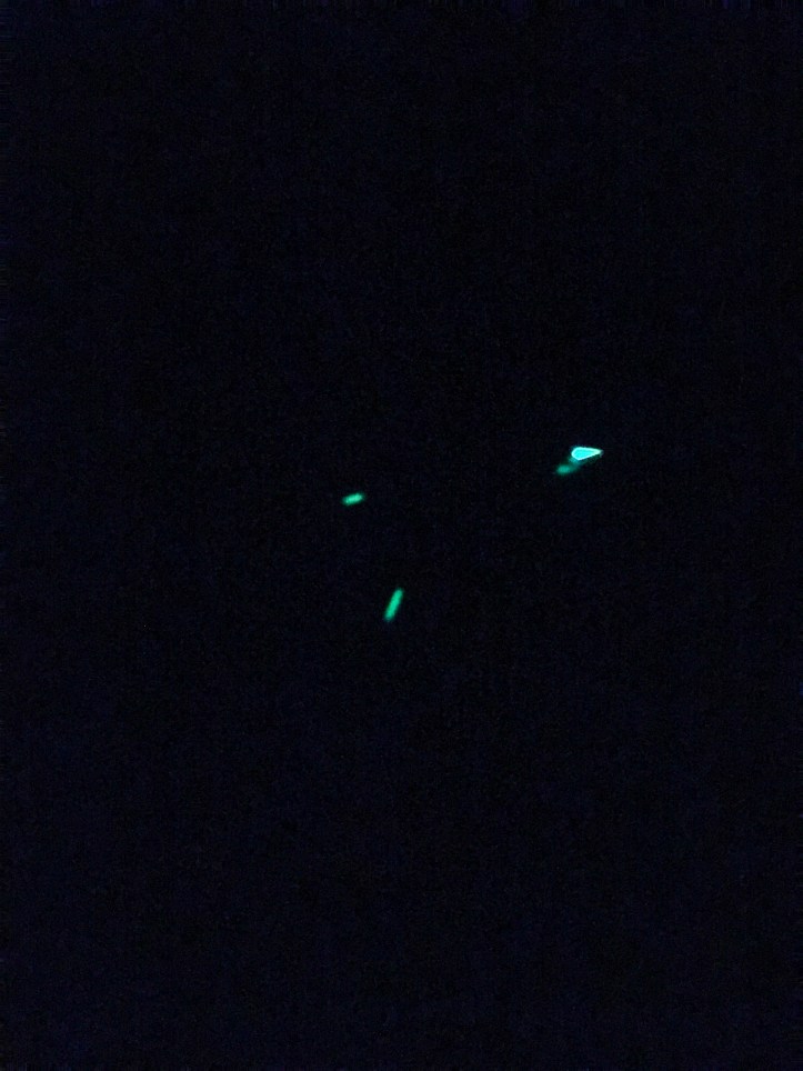 3DF48EFD-D4D3-4E95-B572-0DBA93C93D94