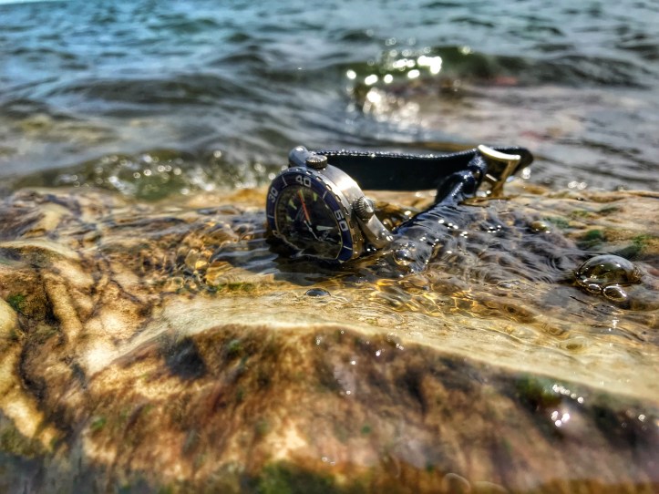 29D8DB43-DA48-4A32-82A3-969A6781DB9D